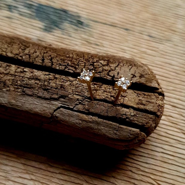 Hanka IN auskarai su cirkoniu